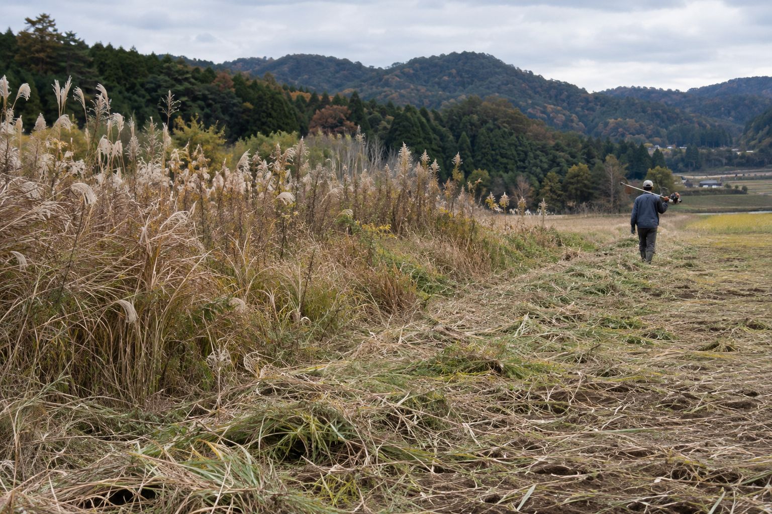 草刈りの途中の農地