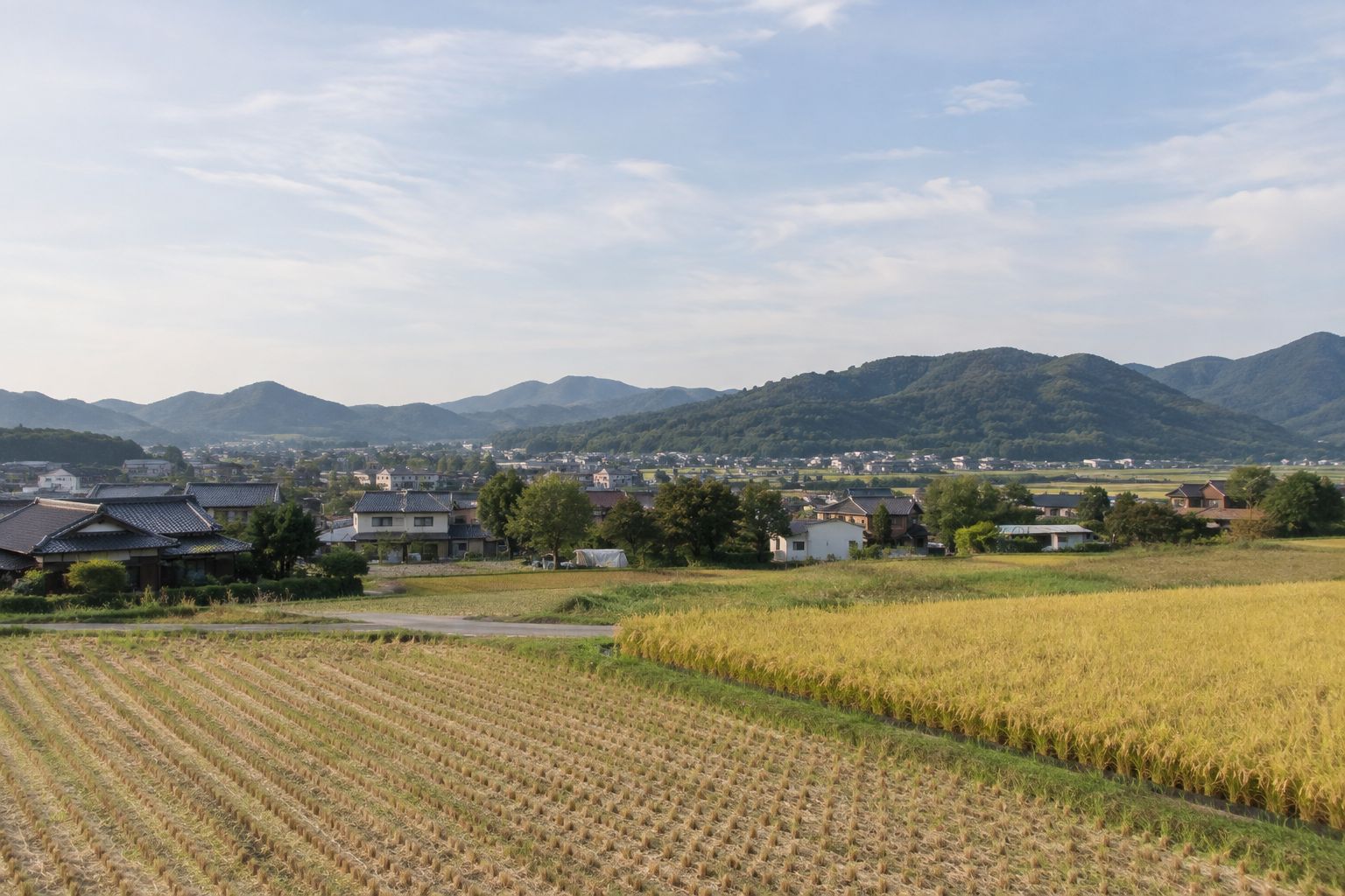岡山県南部の田園と街並み